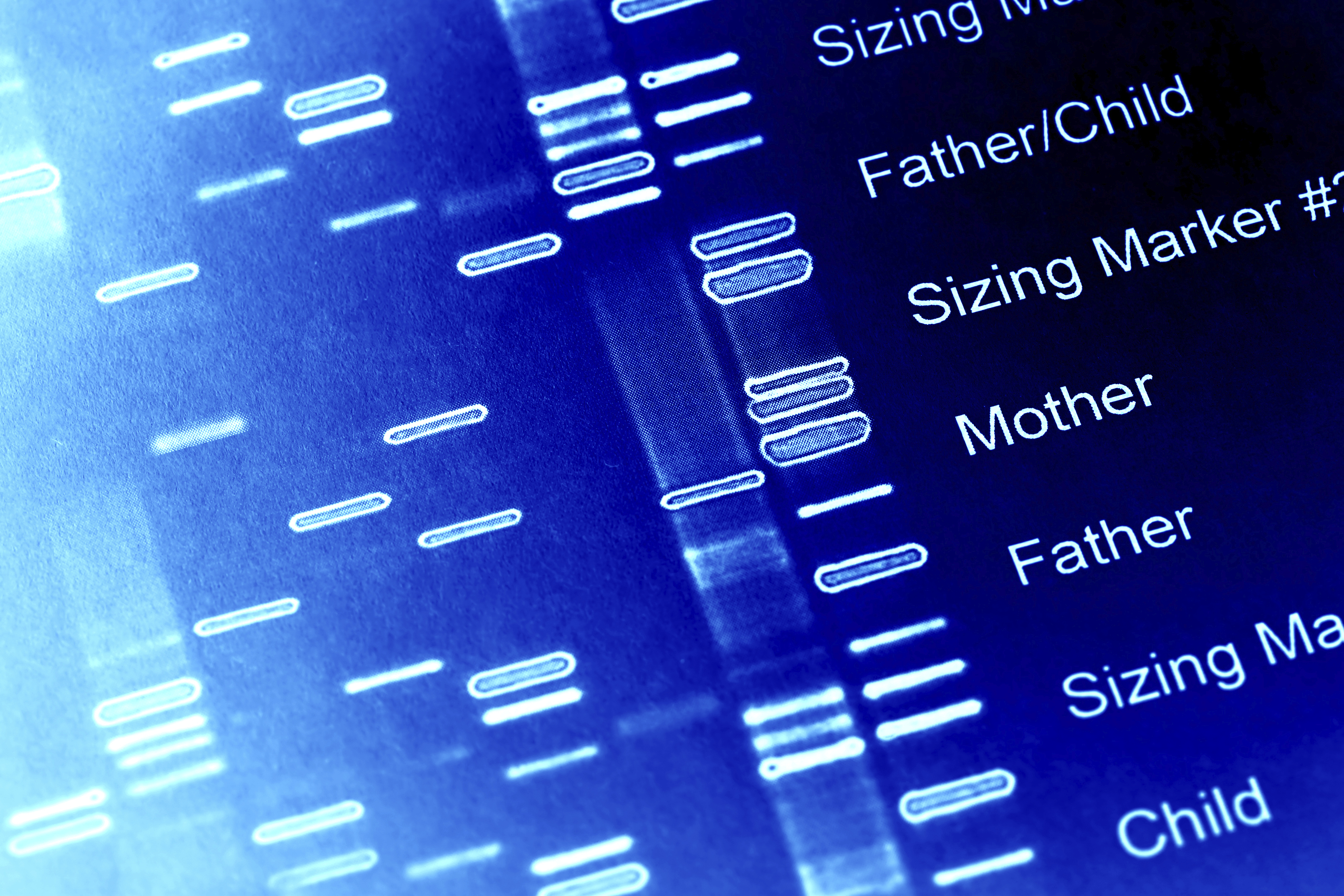Hồ sơ ADN là gì?